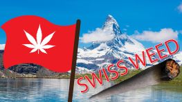Inside Swiss Weed